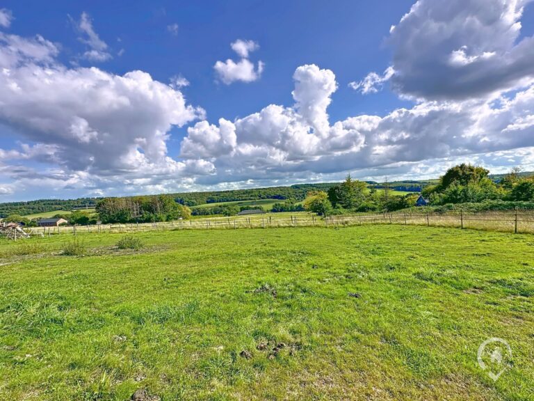 Condrogest - Ensemble immobilier sur 3,5 hectares à vendre à Serinchamps