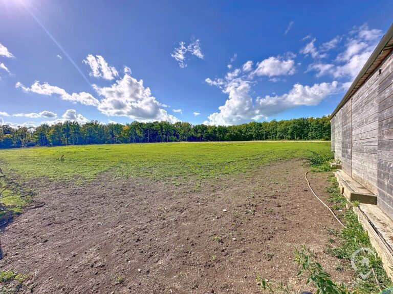 Condrogest - Ensemble immobilier sur 3,5 hectares à vendre à Serinchamps