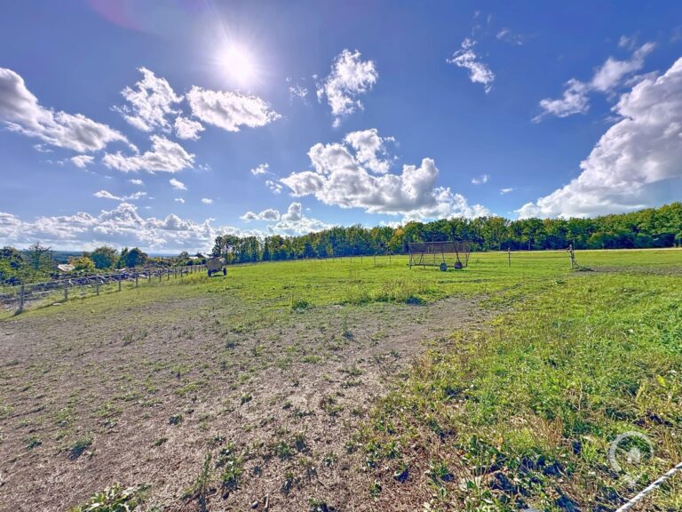 Condrogest - Ensemble immobilier sur 3,5 hectares à vendre à Serinchamps