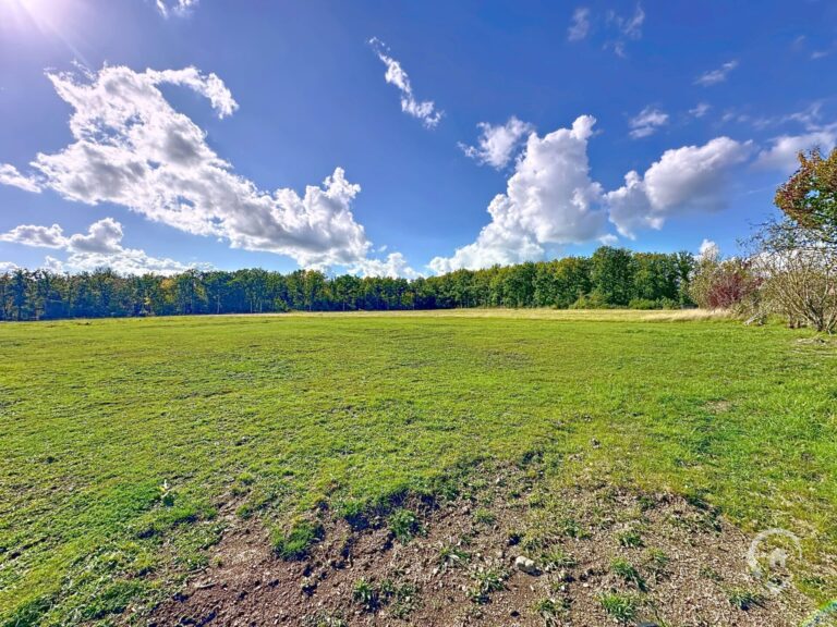 Condrogest - Ensemble immobilier sur 3,5 hectares à vendre à Serinchamps