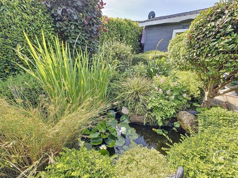 Condrogest - Chalet et terrain à vendre à Hastière