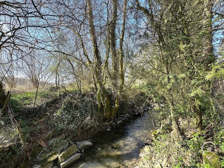 Condrogest - Maison 3 chambres à vendre à Hierges (France)