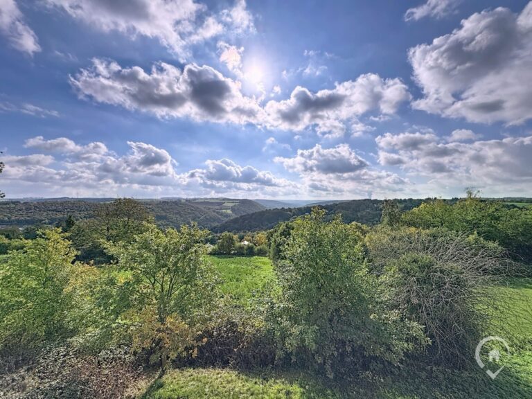 Condrogest - Villa 7 chambres à vendre à Inzemont - Hastière