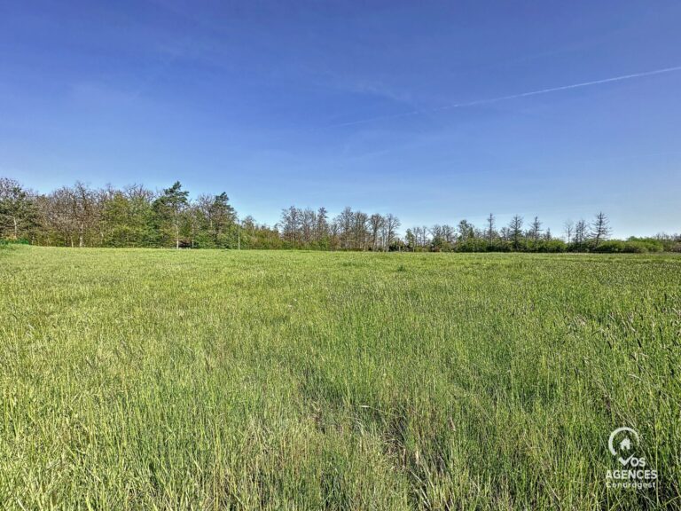 Condrogest - OPTION - Superbe terrain à vendre à Erezée
