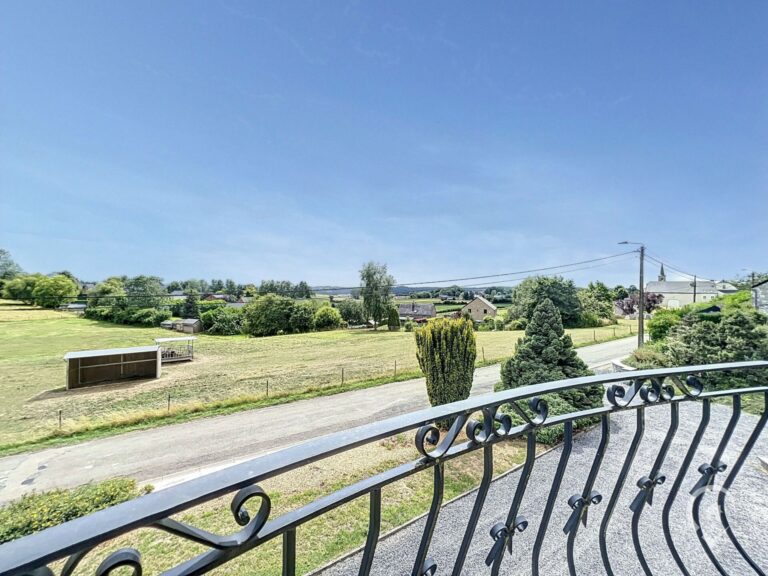 Condrogest - Villa en pierre 5 chambres à vendre à Onhaye