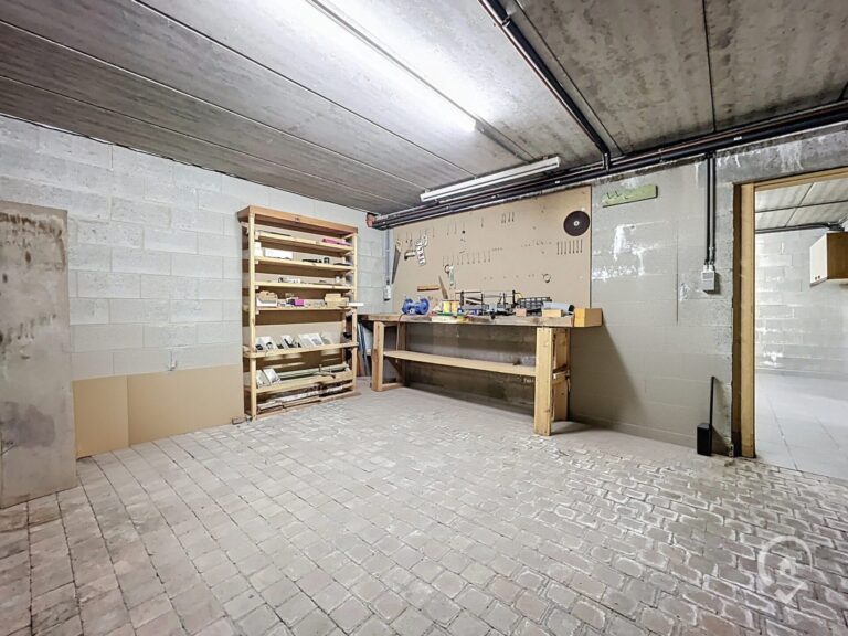 Condrogest - Villa en pierre 5 chambres à vendre à Onhaye