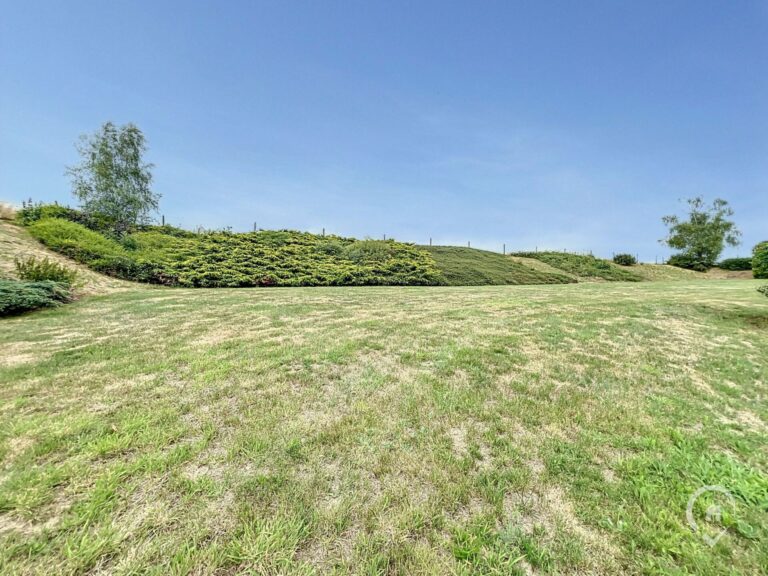 Condrogest - Villa en pierre 5 chambres à vendre à Onhaye