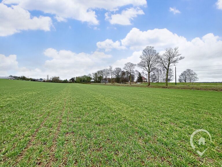 Condrogest - Grand terrain de 33,90 ares à Hamois (divisible au choix)