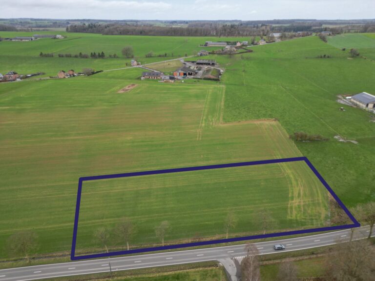 Condrogest - Grand terrain de 33,90 ares à Hamois (divisible au choix)