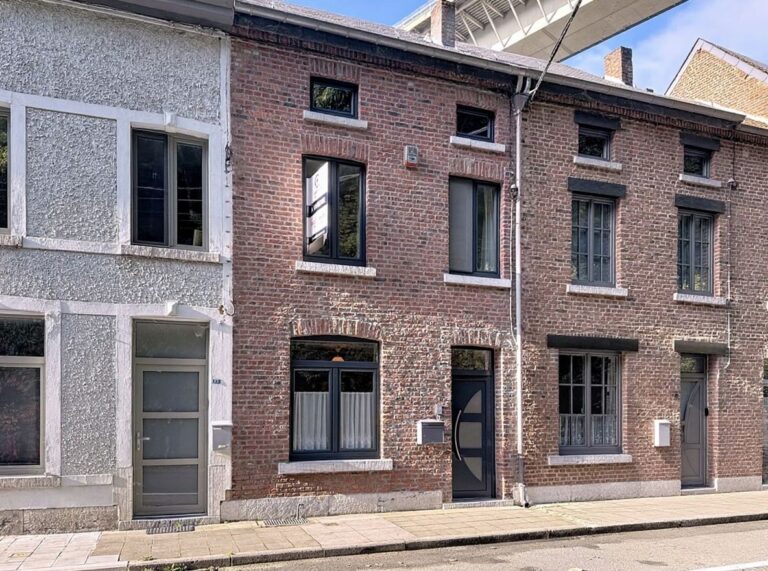 Condrogest - Maison 3 chambres avec jardin et garage à vendre à Anseremme