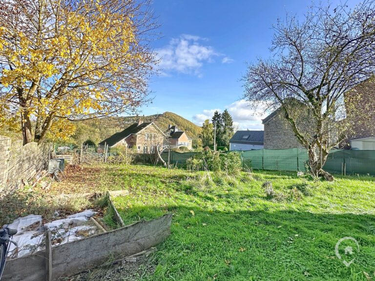 Condrogest - Charmante maison 3 façades avec jardin à vendre à Forrières