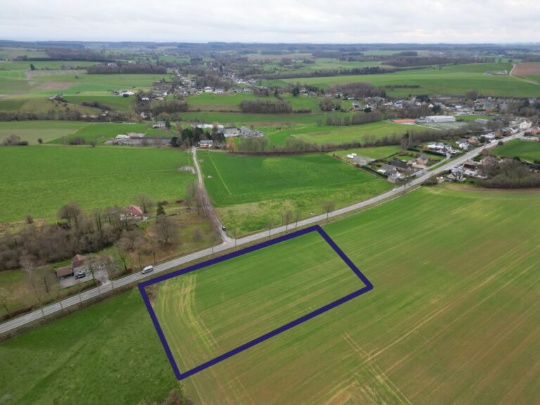 Condrogest - Grand terrain divisible de 67,80 ares