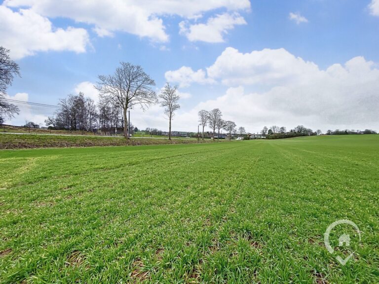 Condrogest - Grand terrain divisible de 67,80 ares