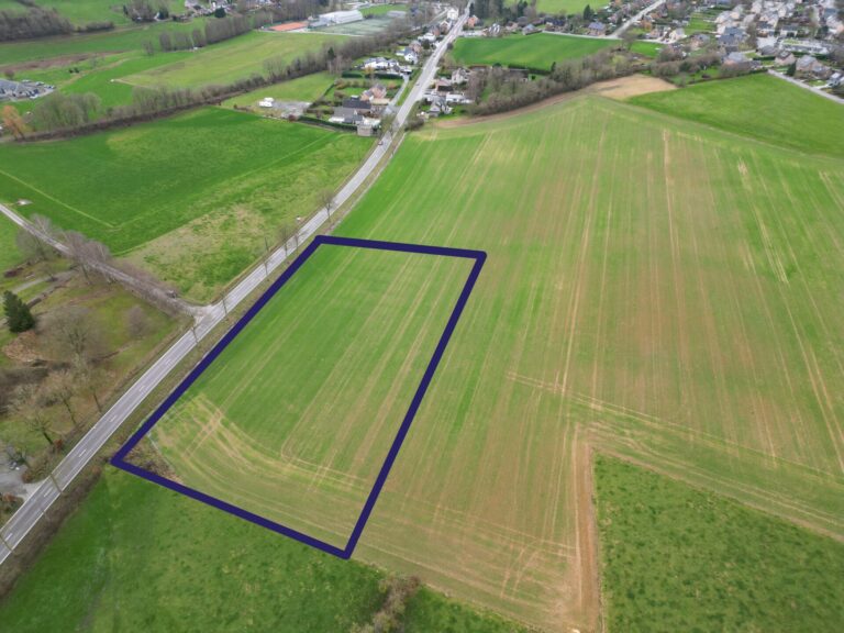 Condrogest - Grand terrain divisible de 67,80 ares