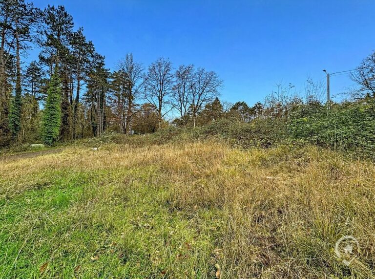 Condrogest - Terrain à bâtir de 10 ares à vendre à Waulsort