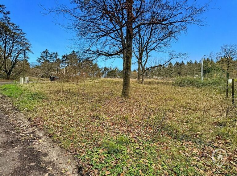 Condrogest - Terrain à bâtir de 10 ares à vendre à Waulsort