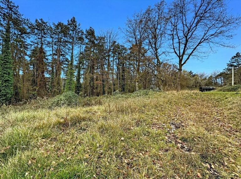 Condrogest - Terrain à bâtir de 10 ares à vendre à Waulsort