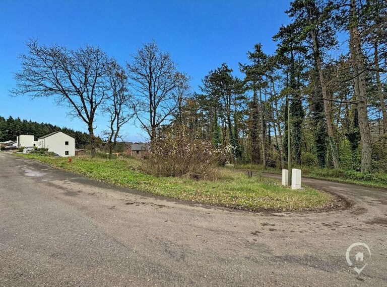 Condrogest - Terrain à bâtir de 10 ares à vendre à Waulsort