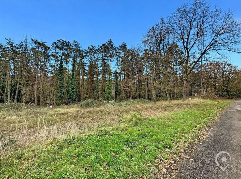 Condrogest - Terrain à bâtir de 10 ares à vendre à Waulsort