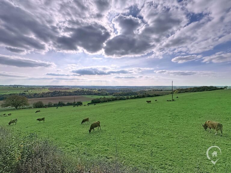 Condrogest - Villa 4 chambres avec vue à vendre à Loyers - Dinant