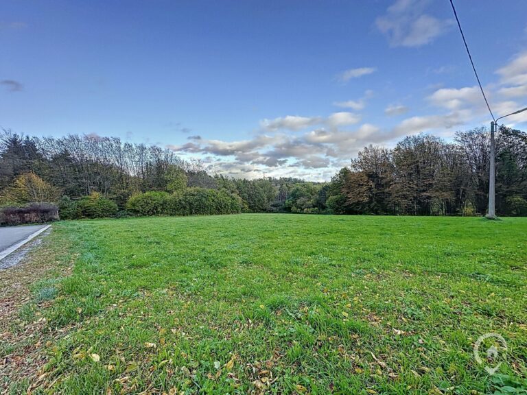 Condrogest - Deux emplacements dans le Parc du Belvédère à Celles