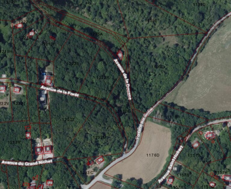 Condrogest - Terrain agréable dans la forêt de Dion