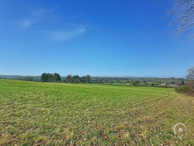 Condrogest - Superbe terrain de 2 hectares en zone agricole à Ménil-Favay