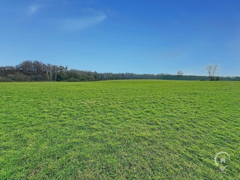 Condrogest - Superbe terrain de 2 hectares en zone agricole à Ménil-Favay