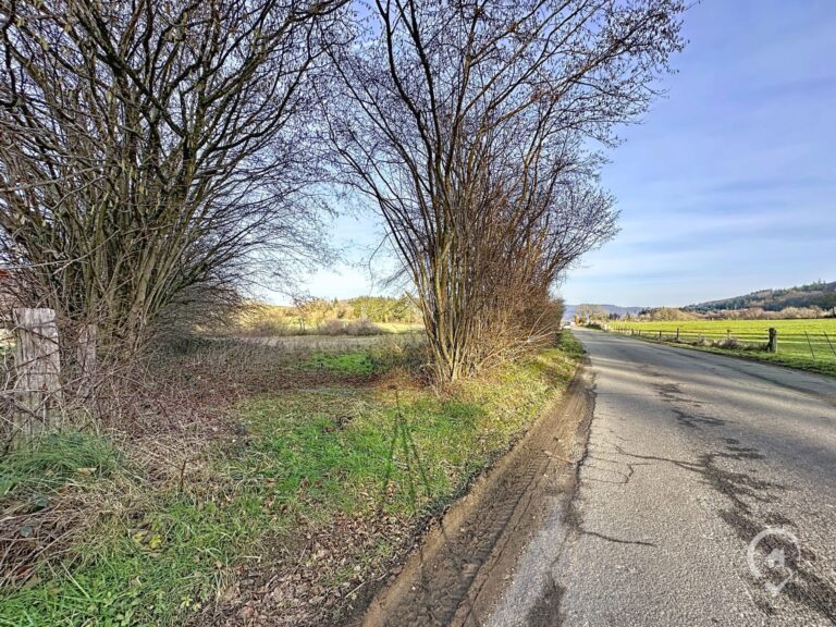 Condrogest - Terrain agricole de 47 ares à vendre à Ménil-Favay