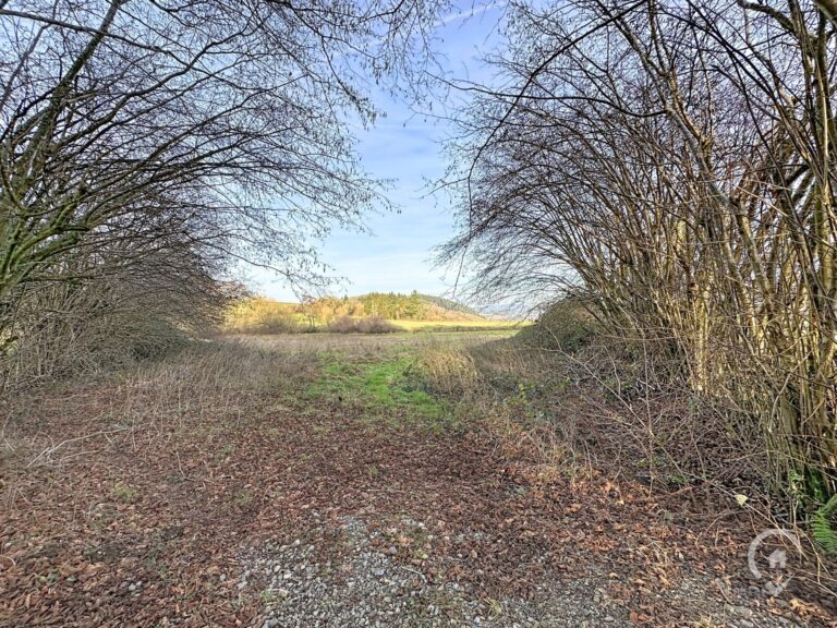 Condrogest - Terrain agricole de 47 ares à vendre à Ménil-Favay