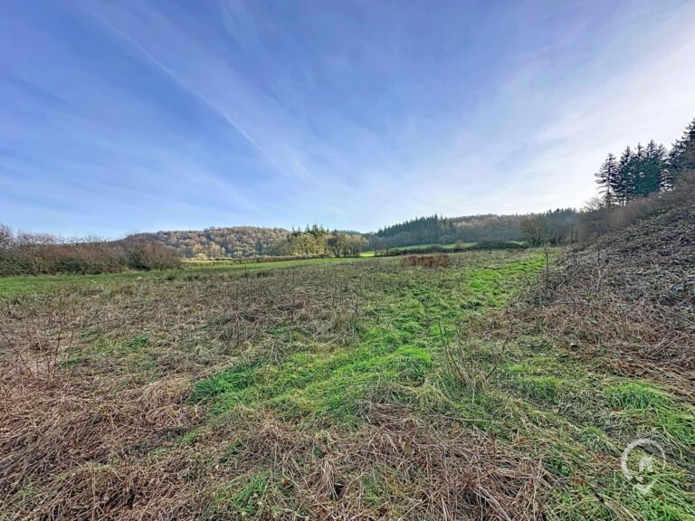 Condrogest - Terrain agricole de 47 ares à vendre à Ménil-Favay