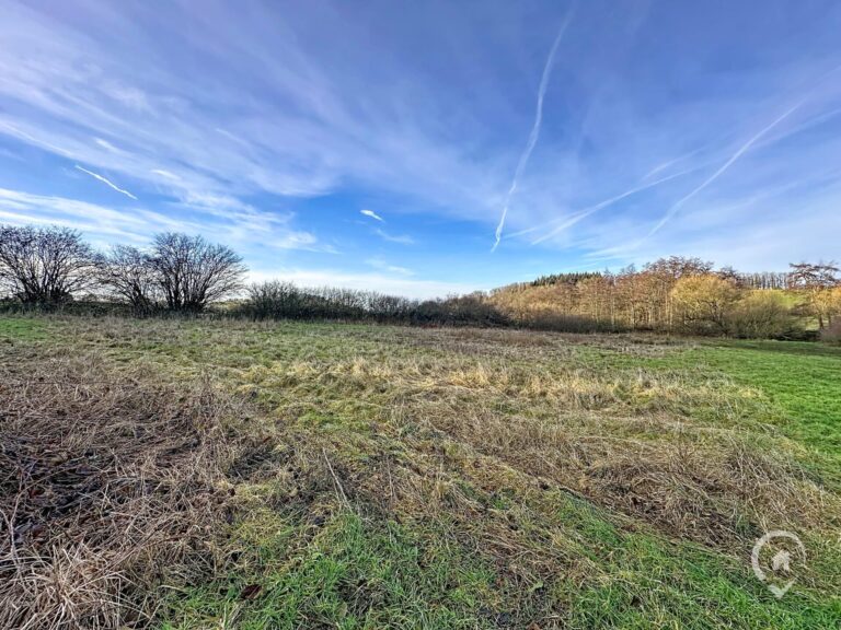 Condrogest - Terrain agricole de 47 ares à vendre à Ménil-Favay