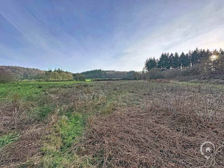 Condrogest - Terrain agricole de 47 ares à vendre à Ménil-Favay