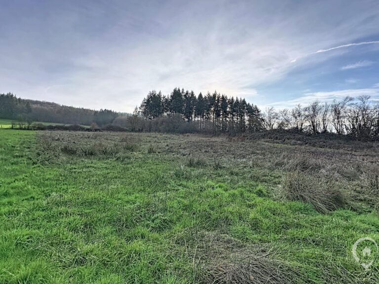 Condrogest - Terrain agricole de 47 ares à vendre à Ménil-Favay