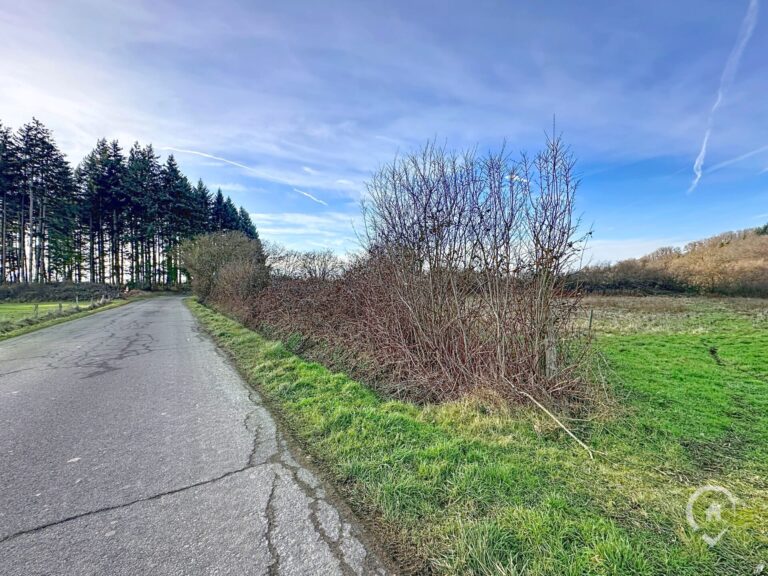 Condrogest - Terrain agricole de 47 ares à vendre à Ménil-Favay