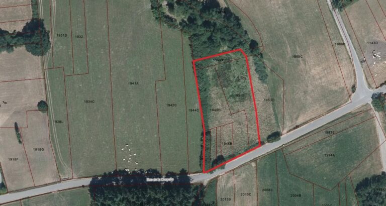 Condrogest - Terrain agricole de 47 ares à vendre à Ménil-Favay