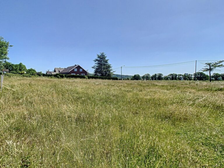 Condrogest - Terrain constructible 10,76 ares à vendre à Hastière