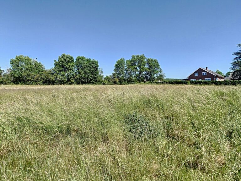 Condrogest - Terrain constructible 10,76 ares à vendre à Hastière