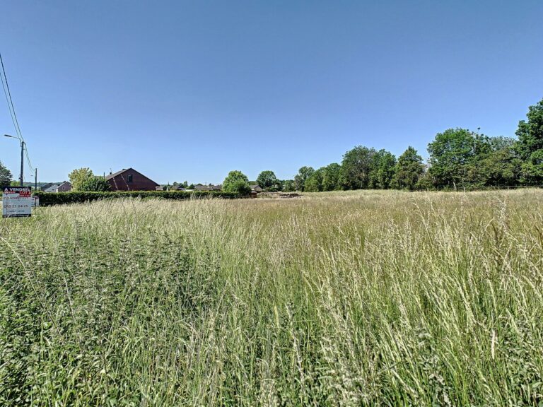 Condrogest - Terrain constructible 10,76 ares à vendre à Hastière