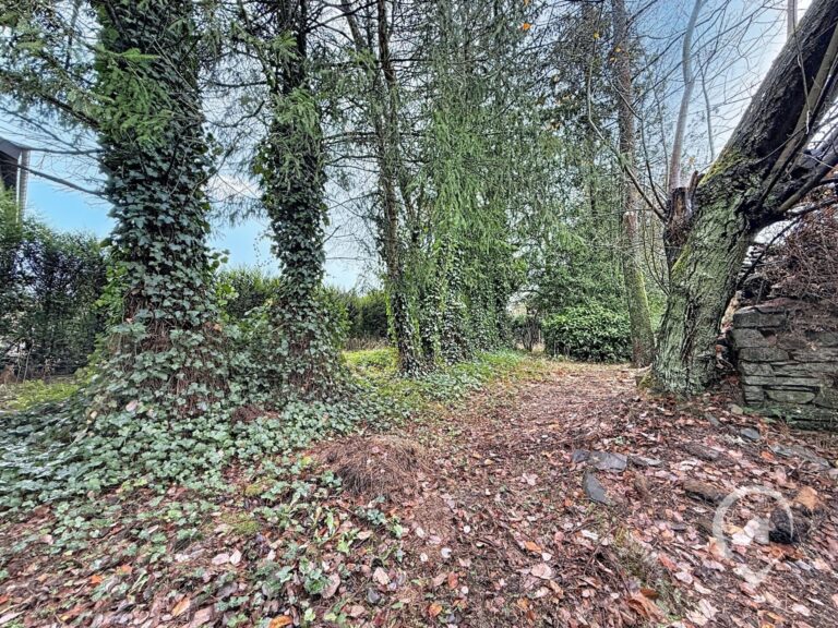 Condrogest - Maison à fort potentiel à vendre à Naomé