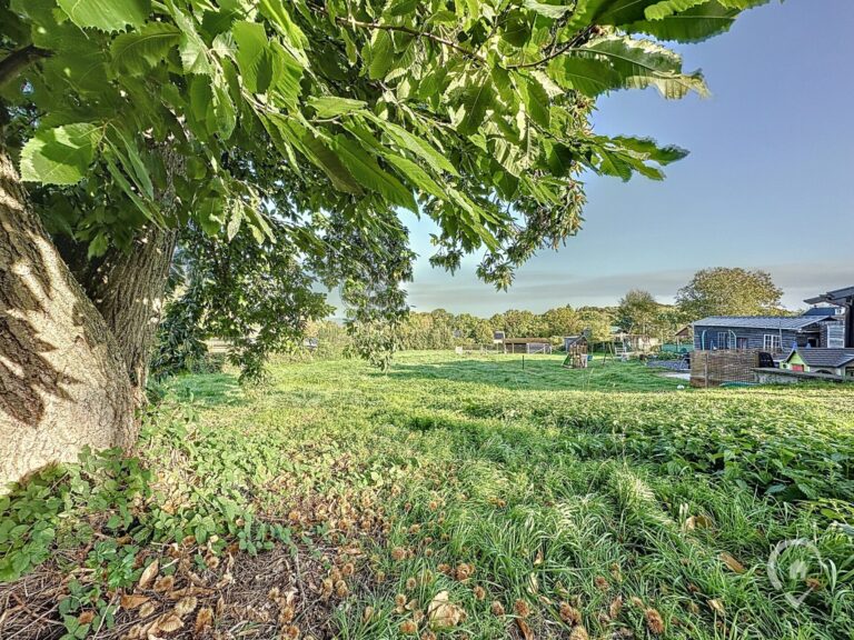 Condrogest - Terrain de 22ares 54ca avec superbe vue à vendre