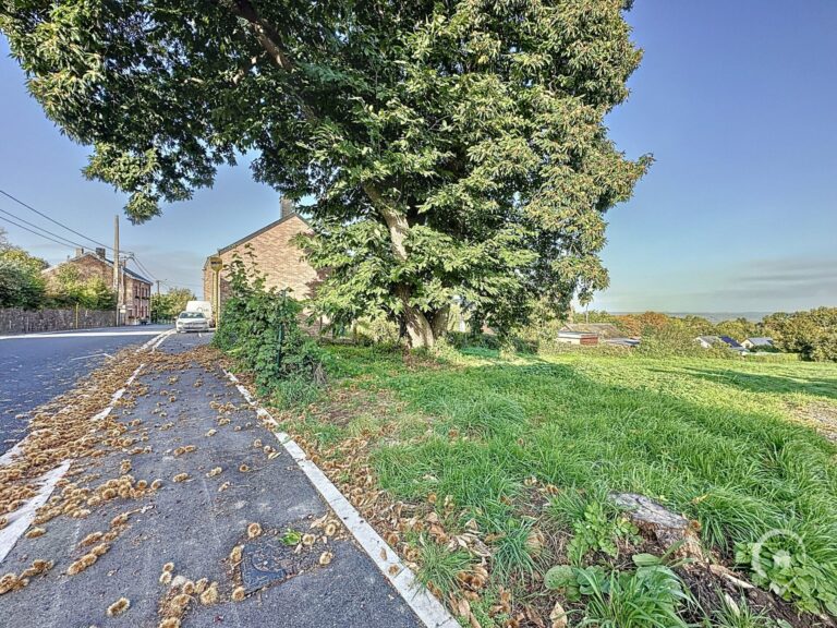 Condrogest - Terrain de 22ares 54ca avec superbe vue à vendre