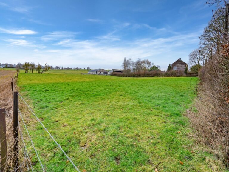 Condrogest - Beau terrain constructible de 25 ares à Hamois