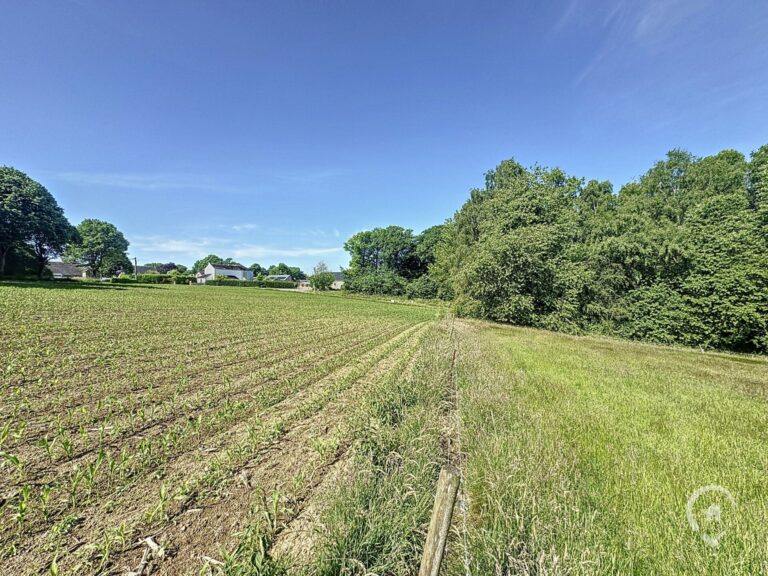 Condrogest - Terrain à bâtir de 19 ares à vendre à Durnal