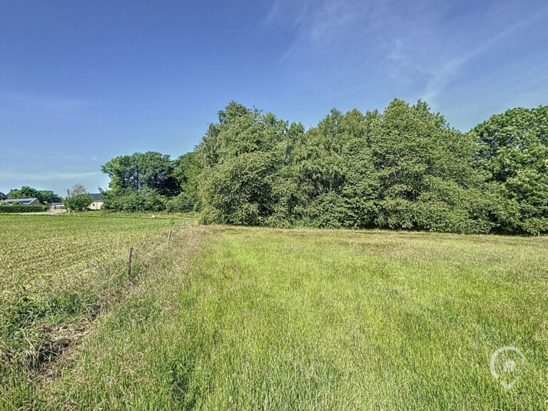 Condrogest - Terrain à bâtir de 19 ares à vendre à Durnal