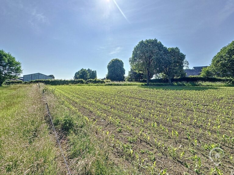 Condrogest - Terrain à bâtir de 19 ares à vendre à Durnal