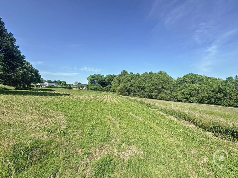 Condrogest - Terrain à bâtir de 19 ares à vendre à Durnal