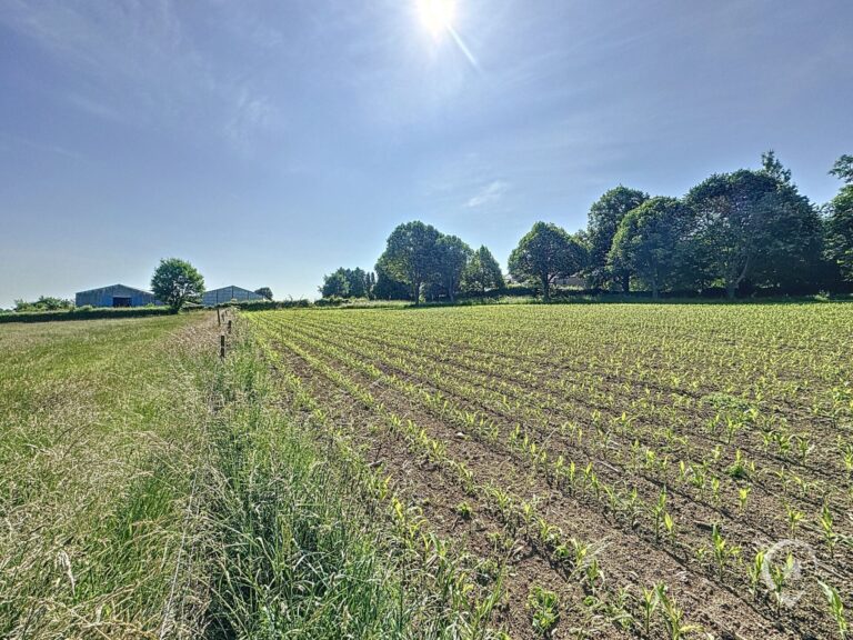 Condrogest - Terrain à bâtir de 19 ares à vendre à Durnal