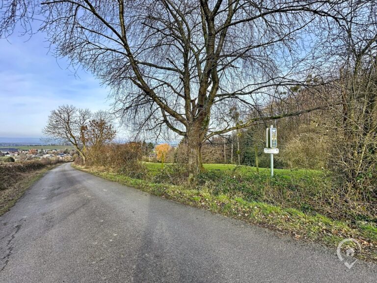 Condrogest - Superbe terrain agricole de 95 ares 90 centiares