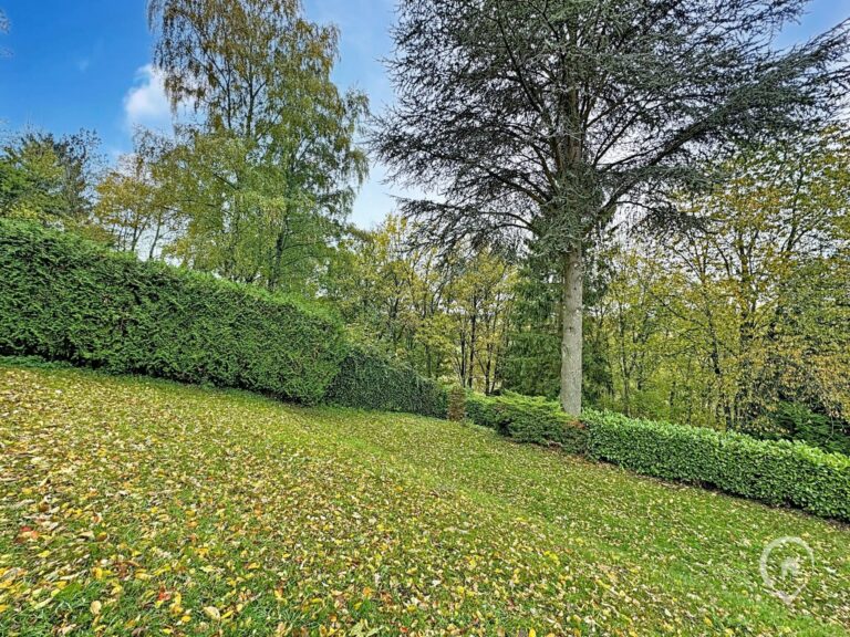 Condrogest - Caravane résidentielle à vendre à Hastière